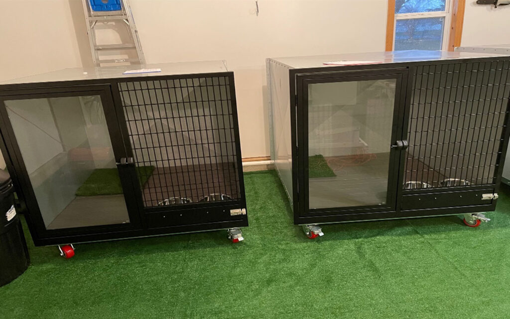 Dog boarding accommodations - crates side-by-side